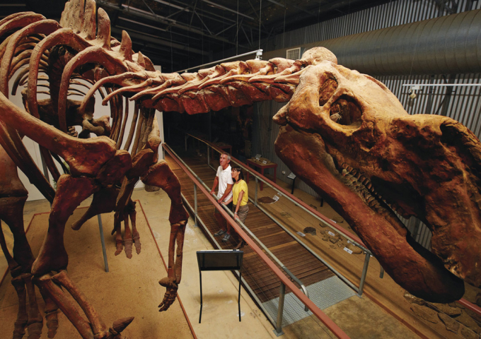 Flinders Discovery Centre and Museum