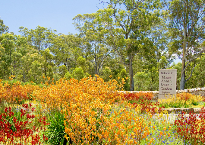 Australian Botanic Garden, Mount Annan
