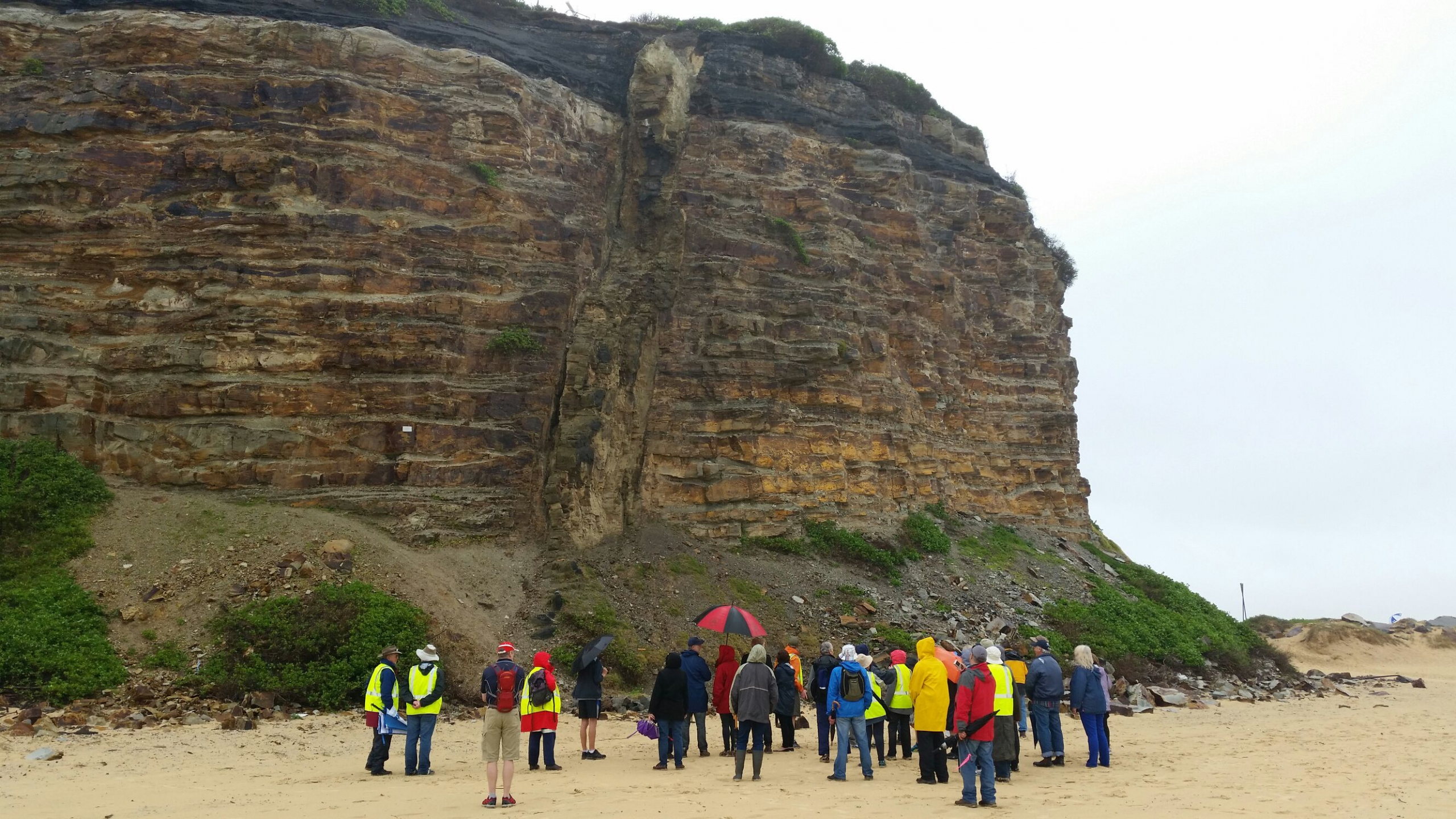 Newcastle coast cliff walk