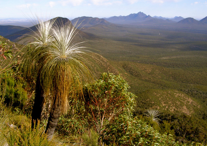 WA Small Grant Recipients 2019