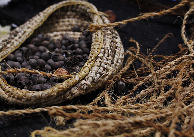 Celebrating Indigenous knowledge this Science Week