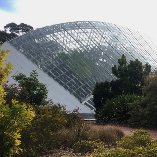 Adelaide Botanic Garden