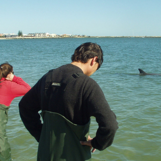 Dolphin Discovery Centre