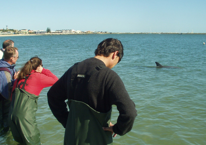 Dolphin Discovery Centre