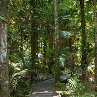 Cairns Botanic Gardens