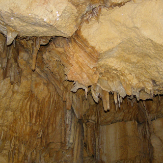 Calgardup Cave