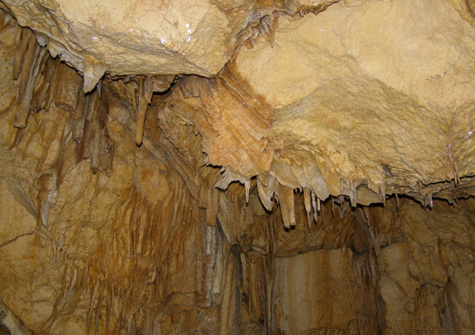 Calgardup Cave