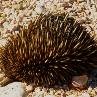 Cape Range National Park