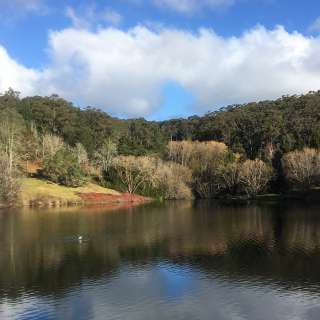 Mount Lofty Botanic Garden
