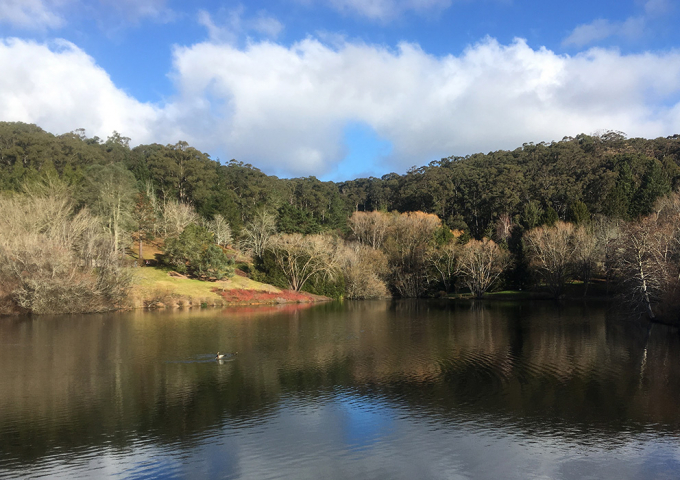 Mount Lofty Botanic Garden