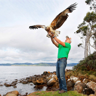 Raptor Refuge