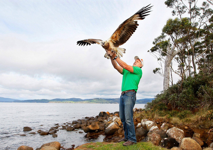 Raptor Refuge