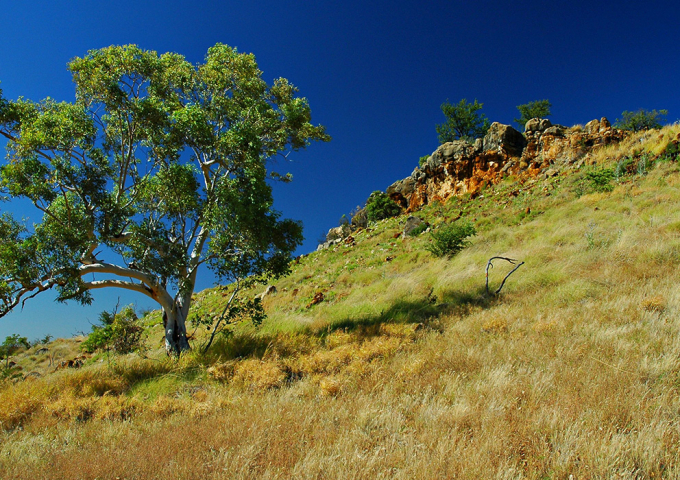 Riversleigh World Heritage Site