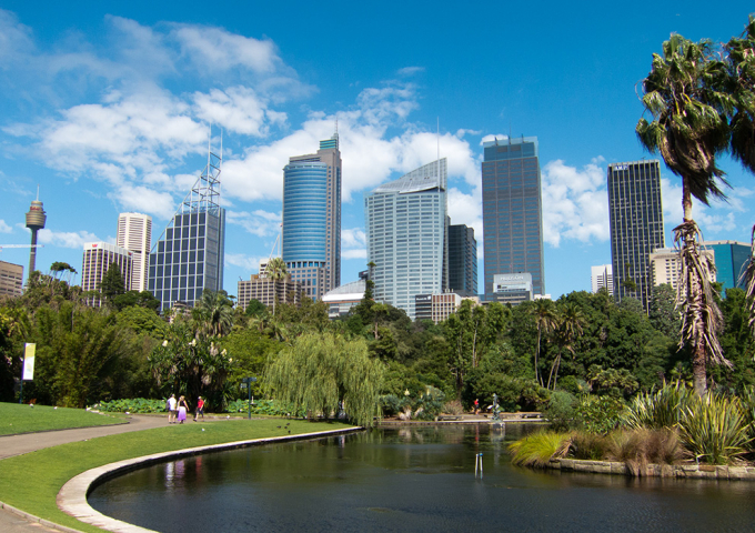 The Royal Botanic Garden