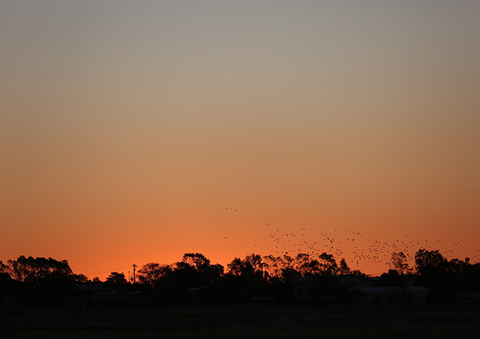 Queensland Seed Grants 2020 v2.0