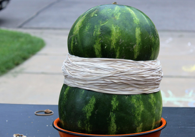 The Big Watermelon Experiment: Physics, forces and flying fruit