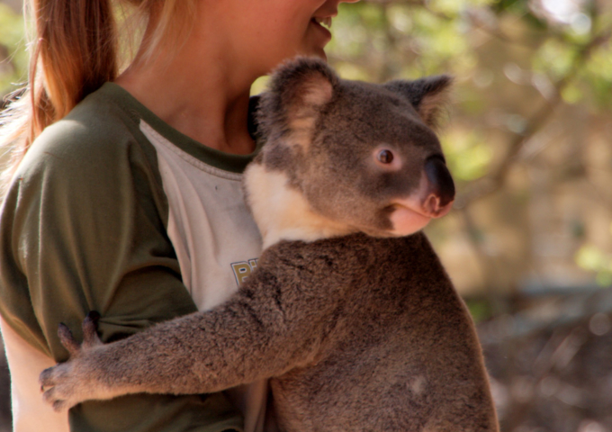 Billabong Sanctuary