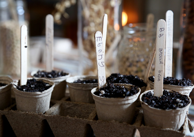 Planting seeds of curiosity: Victorian National Science Week Seed Grant recipients