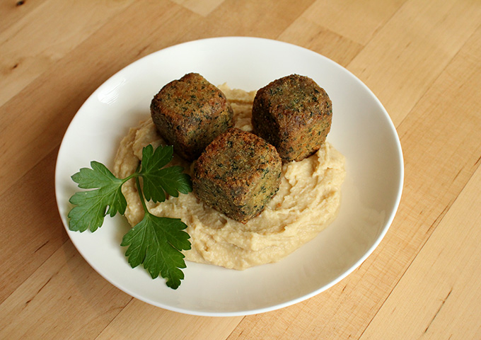 DIY Science: Wombat Felafel