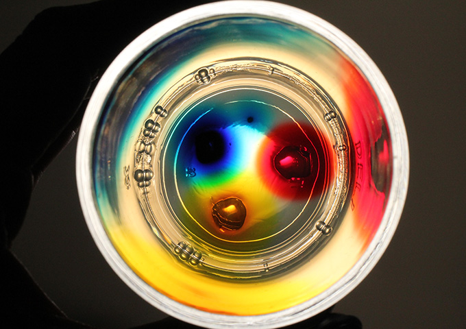 DIY Science: Gelatine Colour Diffusion