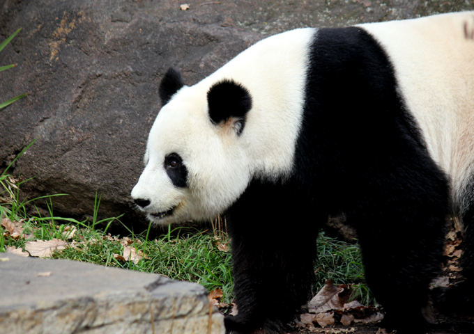 Adelaide Zoo