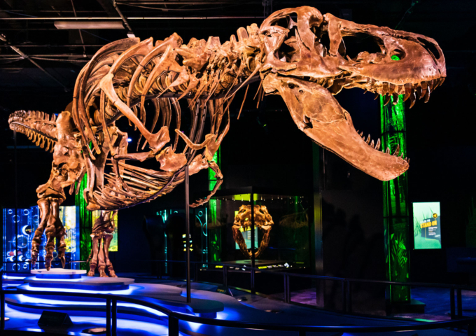 Show & Tell: Why images are key to your event’s success