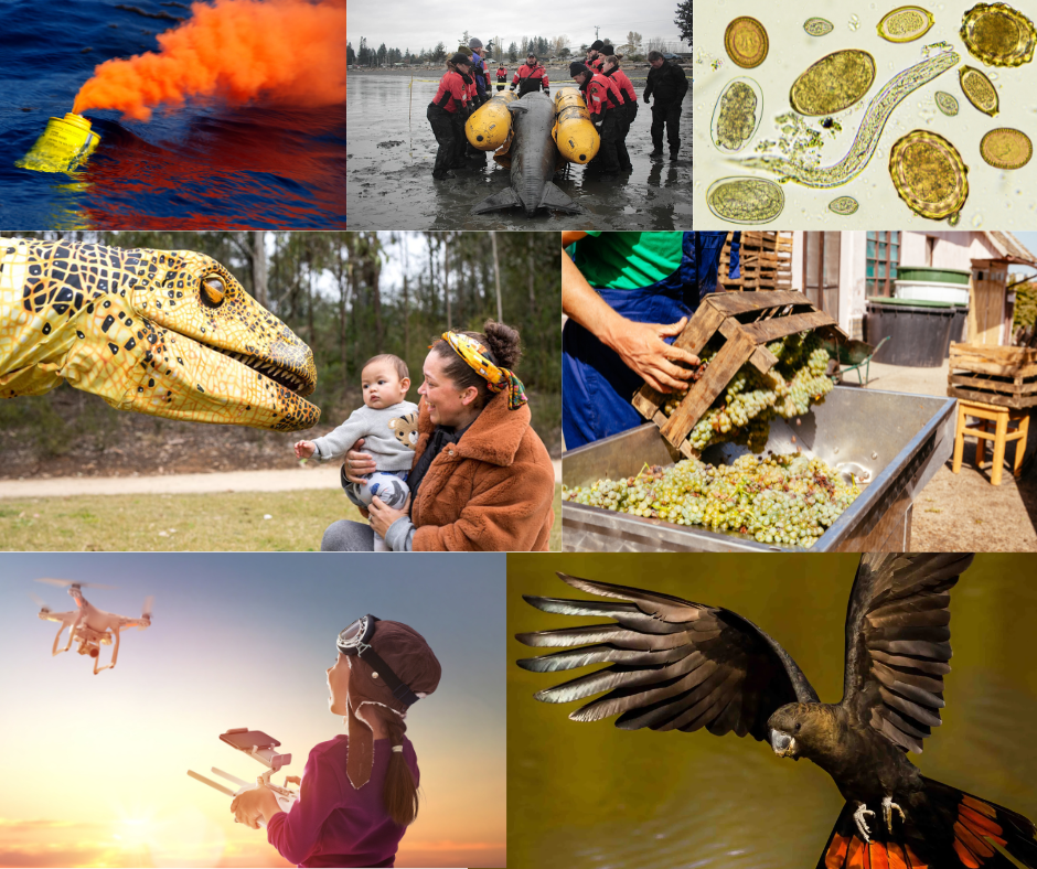 National grant round recipients for 2025 announced - National Science Week