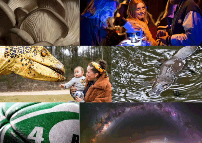 National grant round recipients for 2026 announced