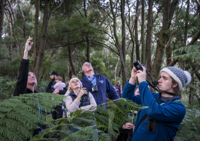 Science Week Highlights in Victoria 2026