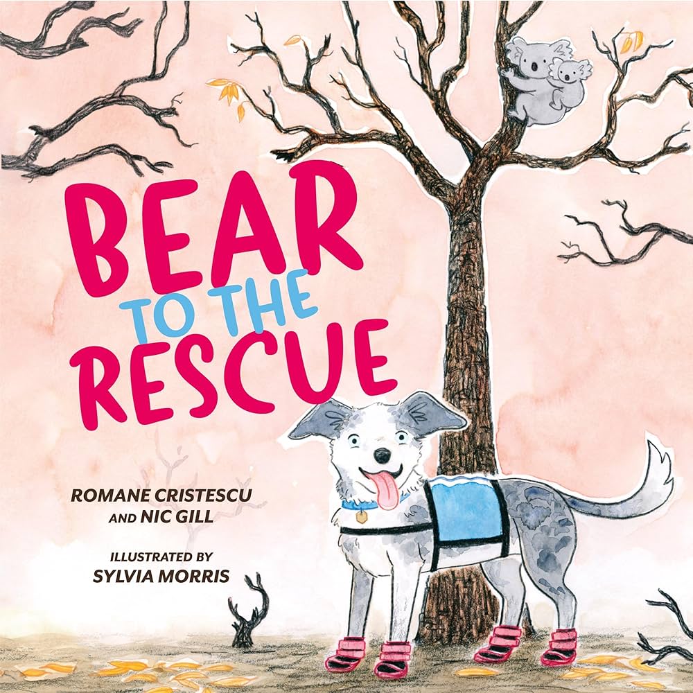 CSIRO National Storytime: Bear to the Rescue